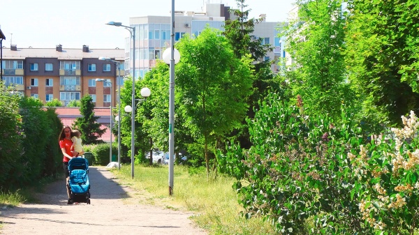 изображение ЖК БФА в Озерках