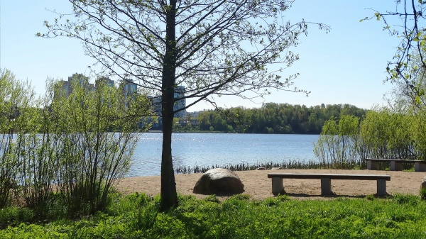 изображение ЖК БФА в Озерках