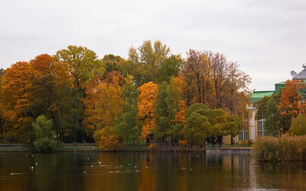 Справочная информация