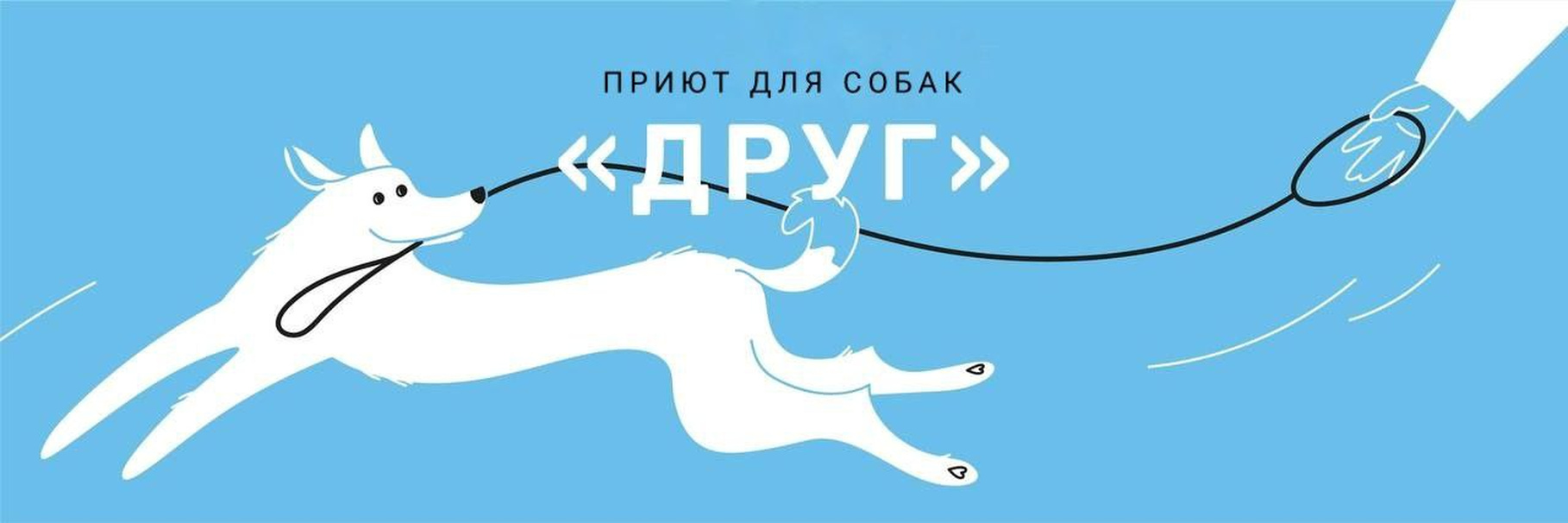 Приюты для кошек и собак в Санкт-Петербурге