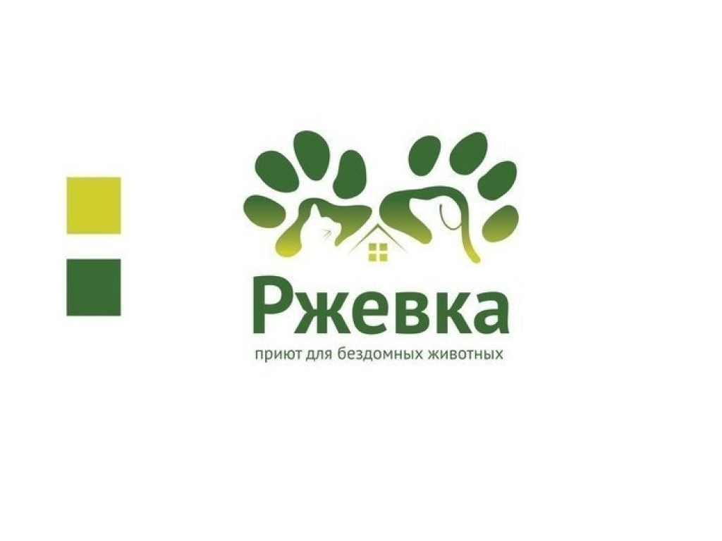 Приют «Ржевка» Приют «Ржевка» в СПб