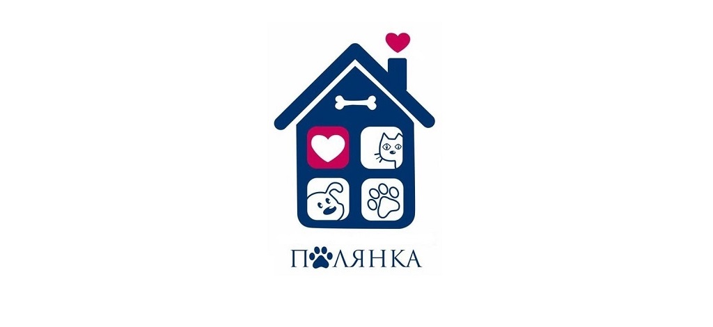Приюты для кошек и собак в Санкт-Петербурге