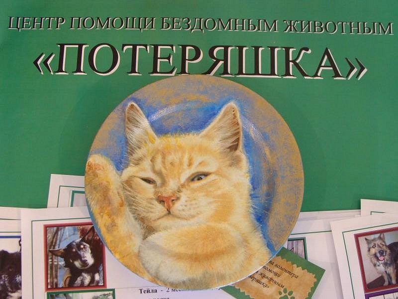 Приюты для кошек и собак в Санкт-Петербурге