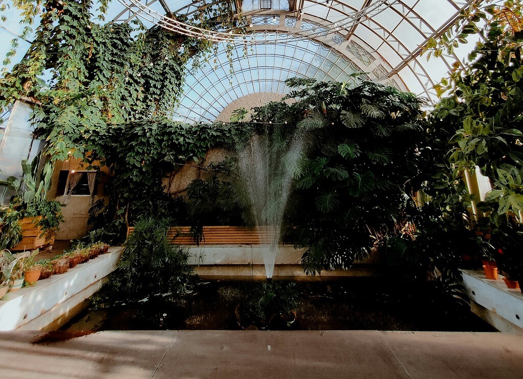 История оранжереи Таврического сада