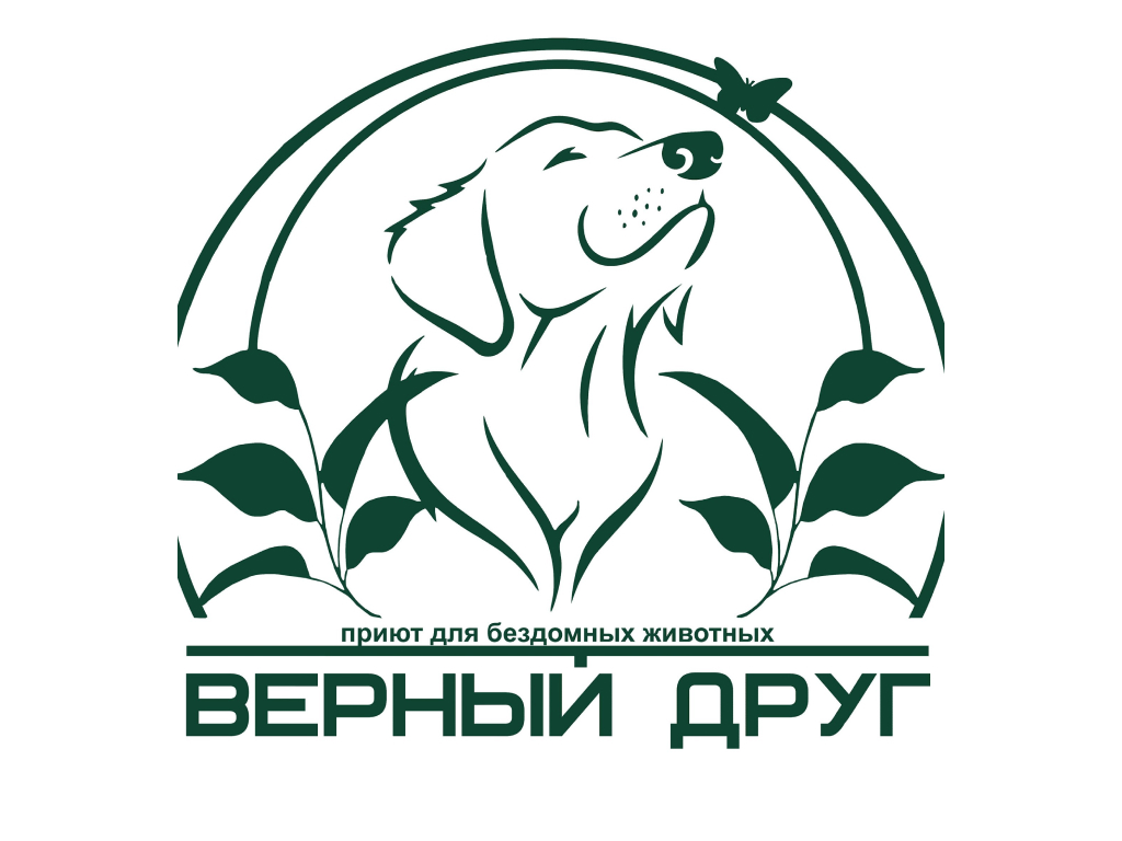Приют «Верный друг» Приют «Верный друг» в СПб
