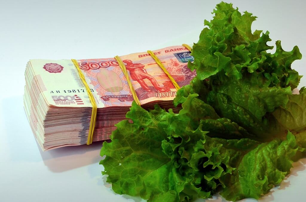 Деньги и зелень Как рассчитывается доплата к пенсии